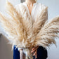 Frendorf | FeatherBloom Pampasgras | Große Federn für luxuriöse Dekoration | Trockenblumen für Zuhause & Events