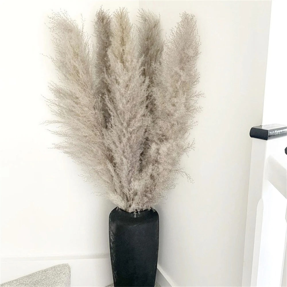 Frendorf | FeatherBloom Pampasgras | Große Federn für luxuriöse Dekoration | Trockenblumen für Zuhause & Events