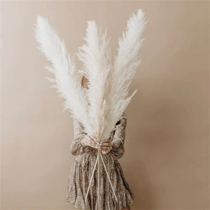 Frendorf | FeatherBloom Pampasgras | Große Federn für luxuriöse Dekoration | Trockenblumen für Zuhause & Events