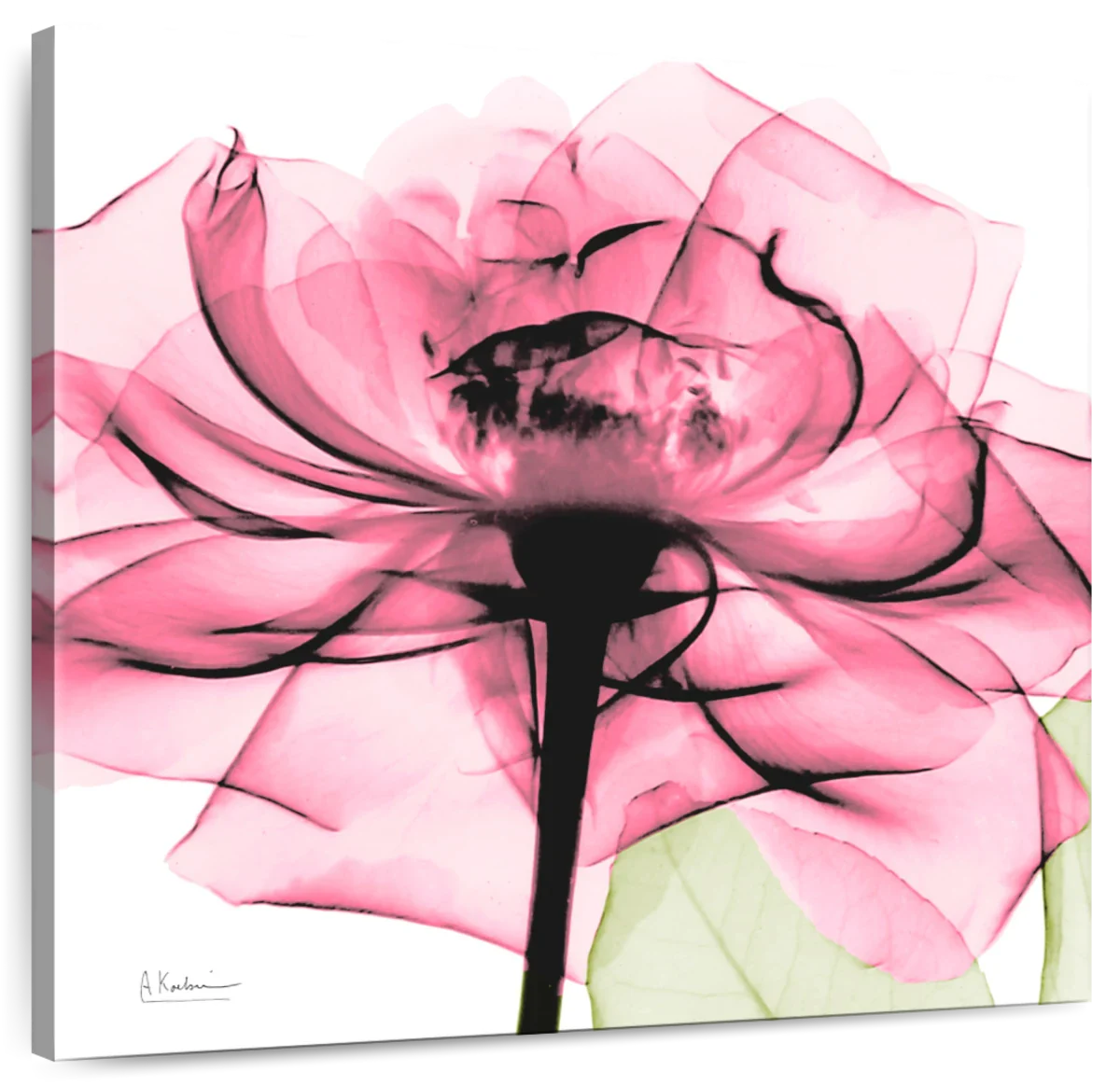 Frendorf | Rosenpink Wandkunst