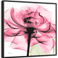 Frendorf | Rosenpink Wandkunst