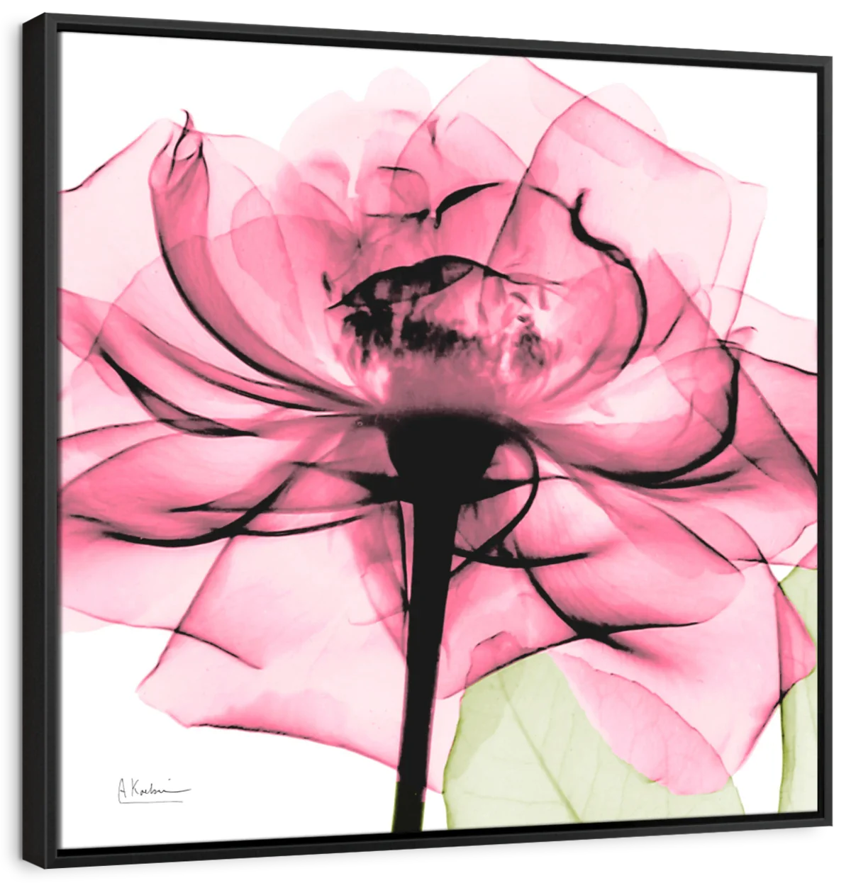 Frendorf | Rosenpink Wandkunst