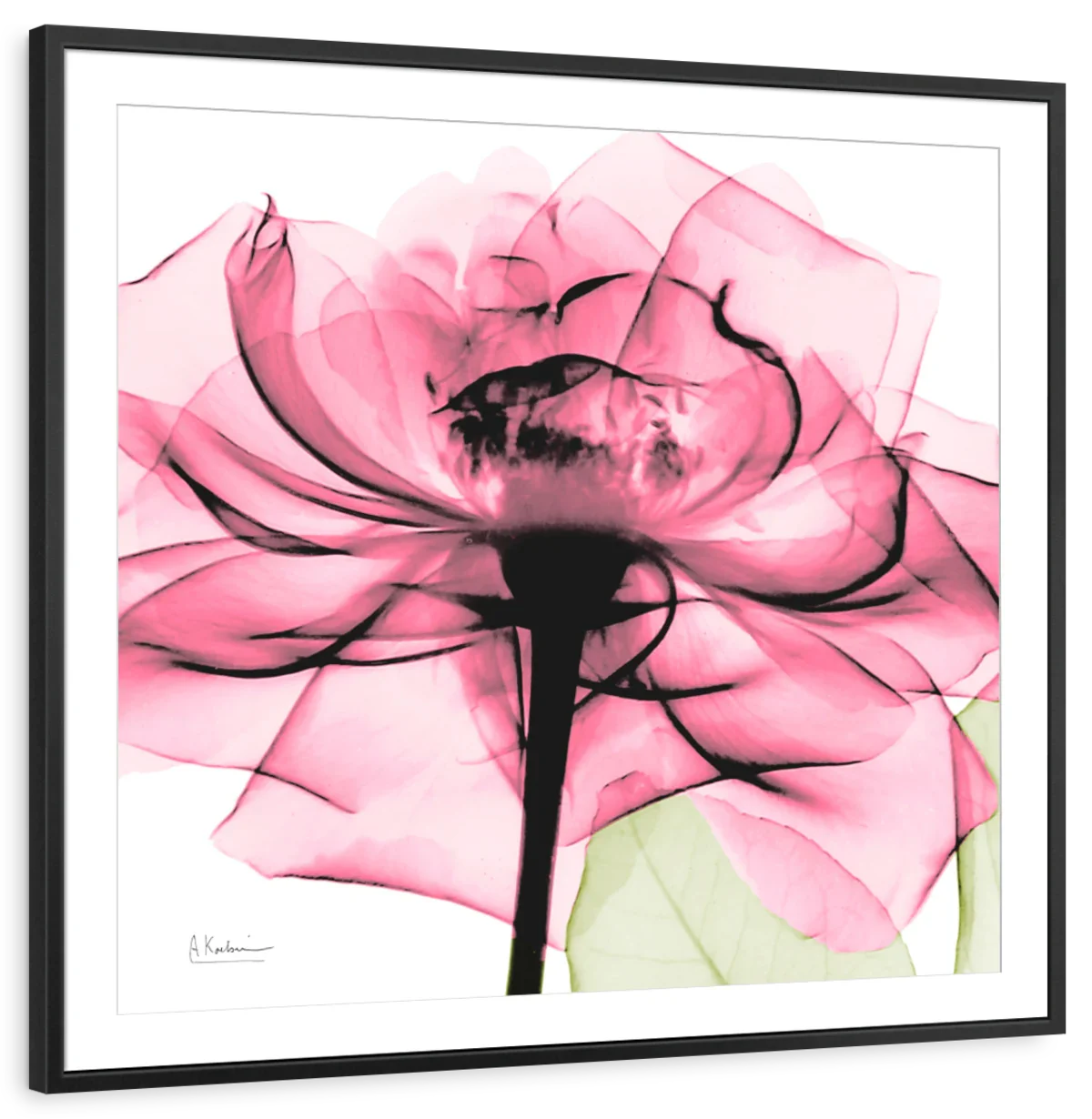 Frendorf | Rosenpink Wandkunst