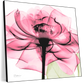 Frendorf | Rosenpink Wandkunst