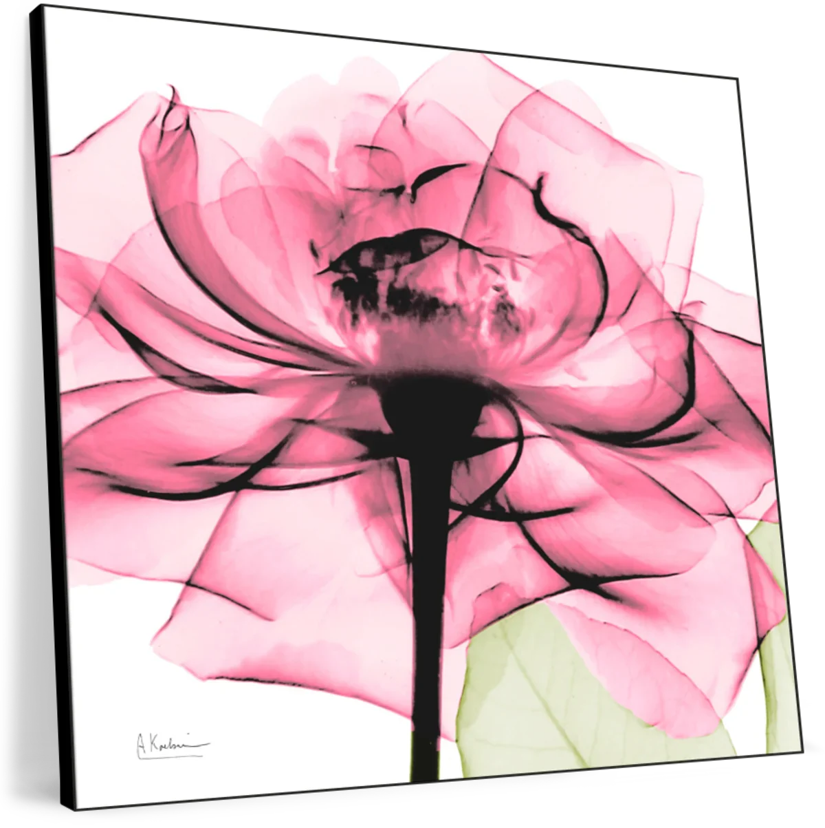 Frendorf | Rosenpink Wandkunst