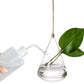 Frendorf | GlasLuxe 3-teiliges Set Glas-Hänge-Terrarienvasen | Elegante Pflanzenhalter | Deko für Zuhause
