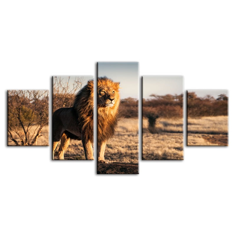 5-teiliges majestätisches Löwenmotiv im Sonnenlicht - Leinwand Wandkunstgemälde