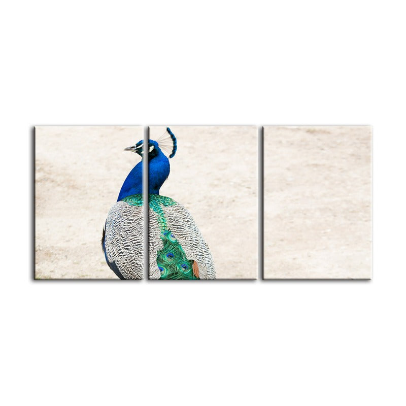 Rockiges Elegantes Pfau-Leinwand Wandkunst Gemälde 3 Teile