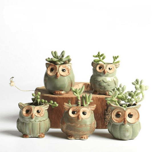 Eulen Keramischer Blumentopf Set 5-teilig