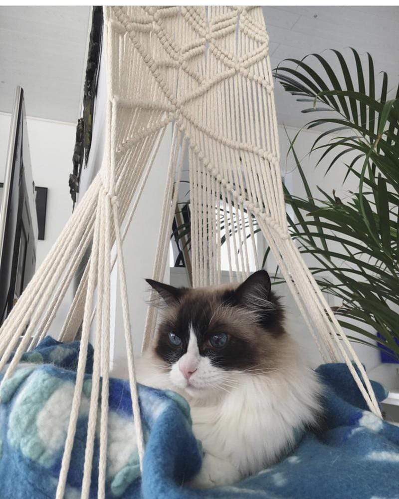 Makramee Wandhängendes Katzenbett