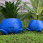 Oddish Blumentopf