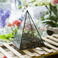 Glas Pyramid Pflanzen Terrarium