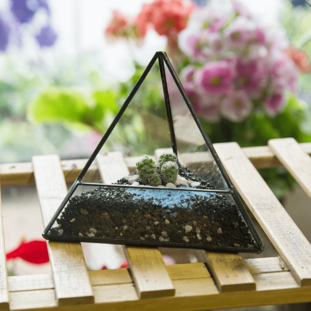 Glas Pyramid Pflanzen Terrarium