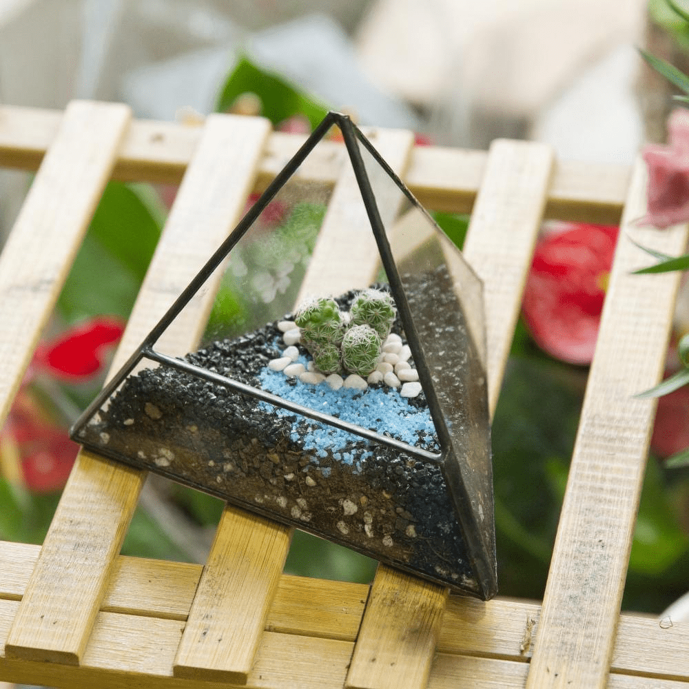 Glas Pyramid Pflanzen Terrarium