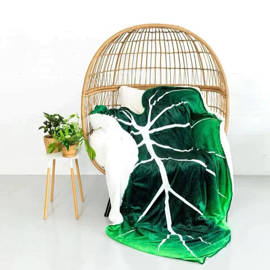 Philodendron Gloriosum Riesenblatt-Decke