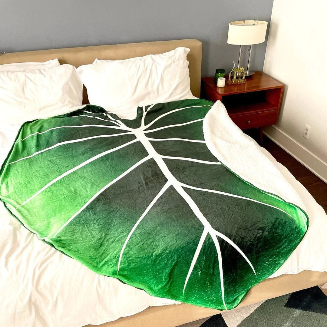 Philodendron Gloriosum Riesenblatt-Decke