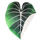 Philodendron Gloriosum Riesenblatt-Decke