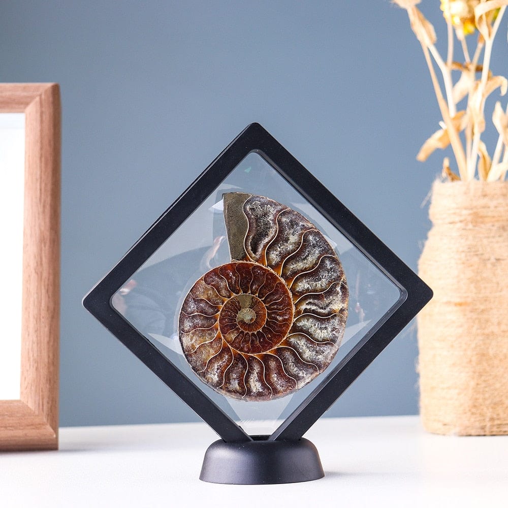 Ammonit Fossil Kristall Ornament
