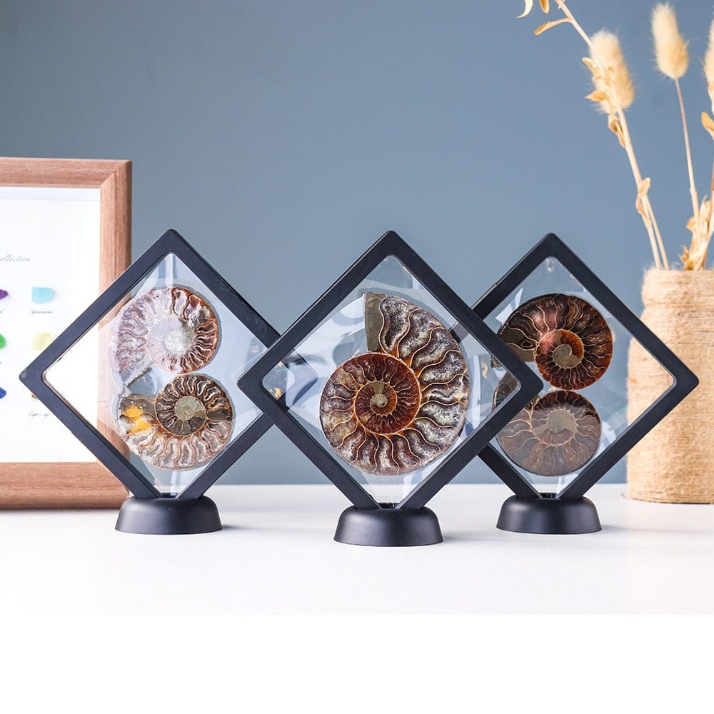 Ammonit Fossil Kristall Ornament