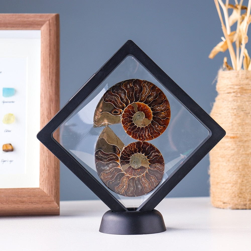 Ammonit Fossil Kristall Ornament