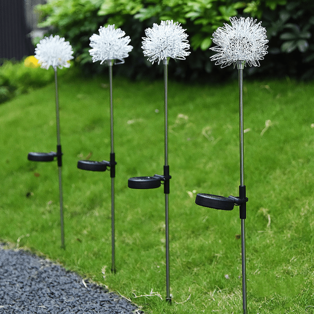 Löwenzahn Gartenlichter, Solarbetrieben