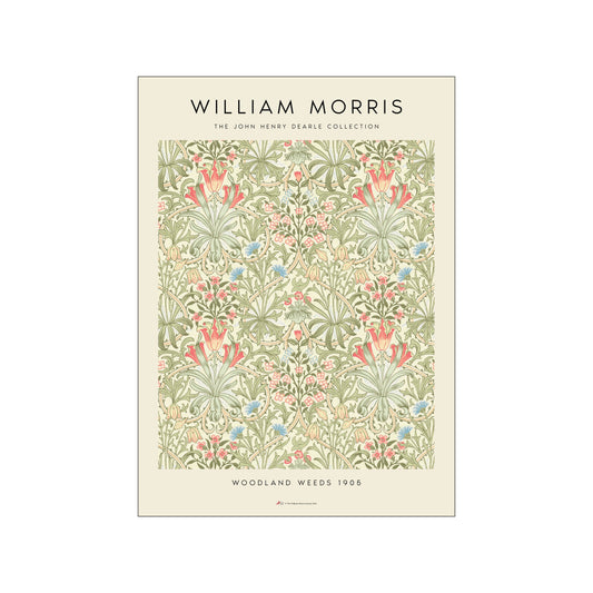 Woodland Weeds