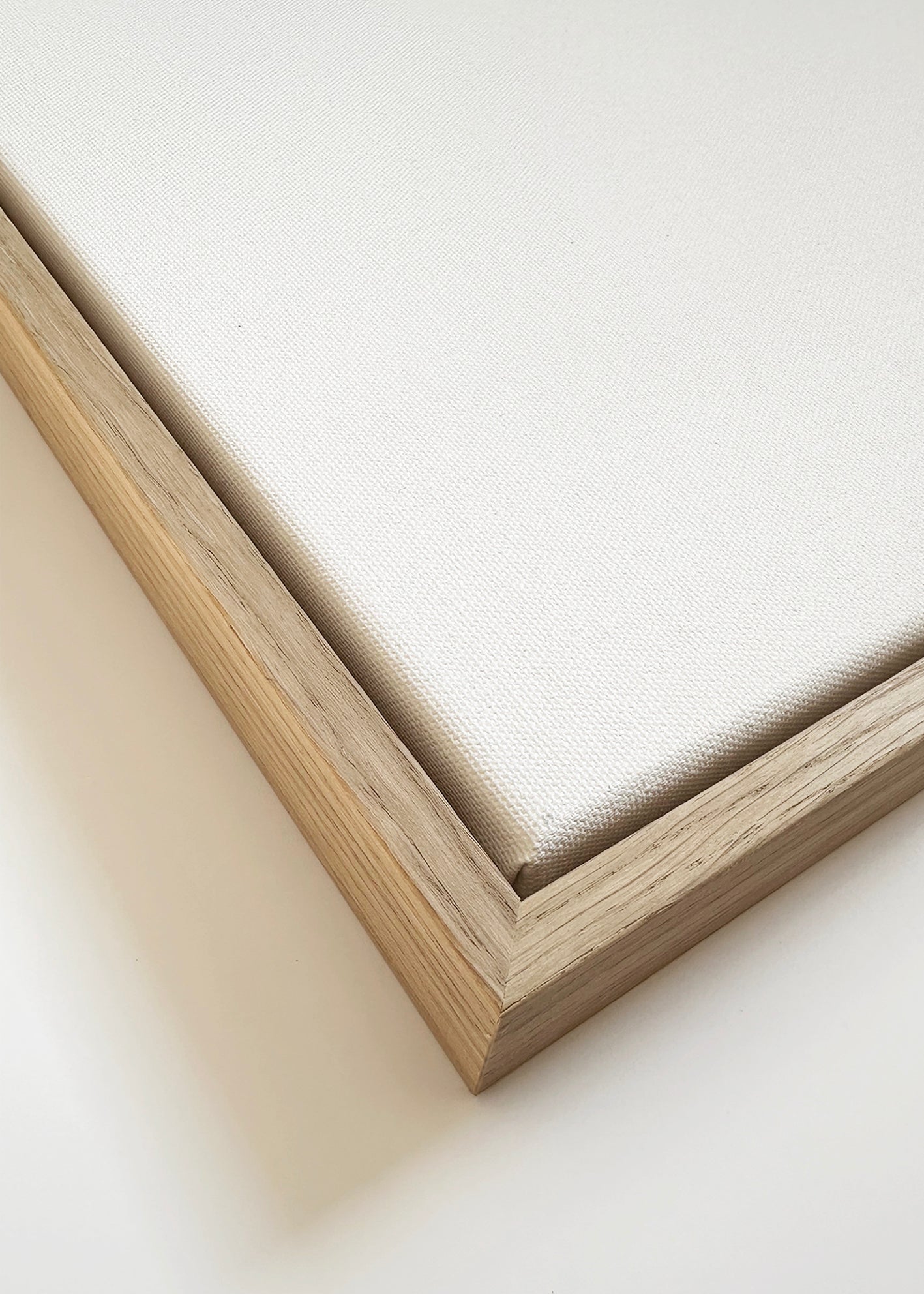 Frendorf | Leinwand Elegante Flug
