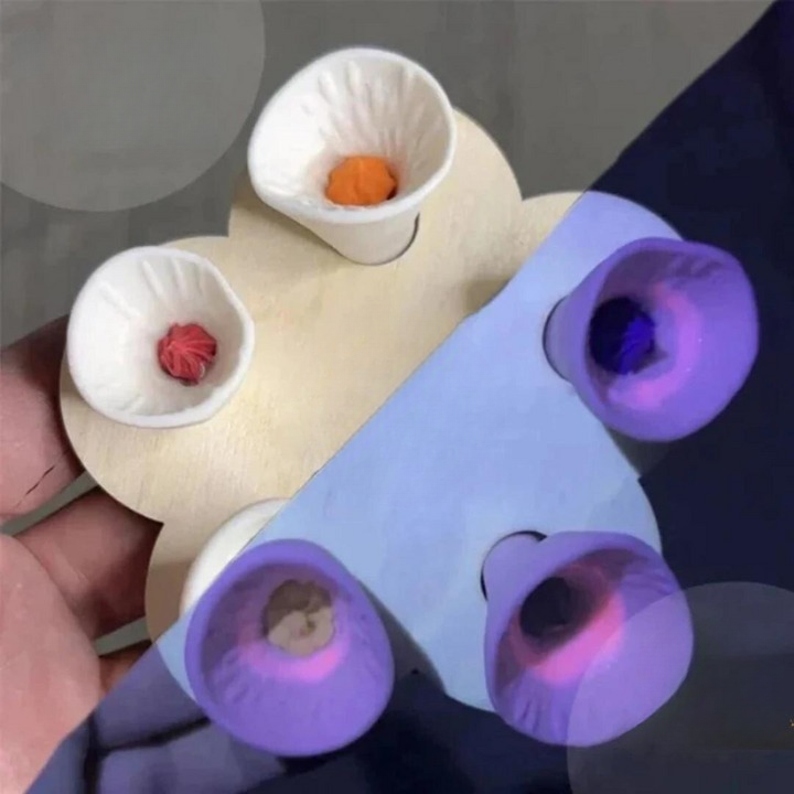 Frendorf | BeeHydro – Bienenfreundliche Wasserquelle für ein blühendes Ökosystem