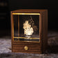 Sternzeichen Lampe
