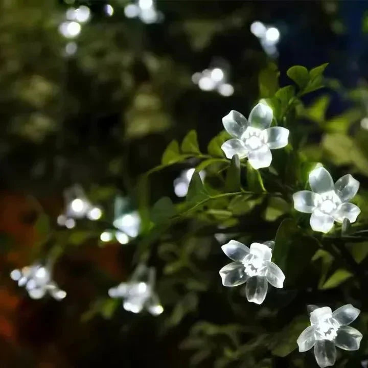 Frendorf | Lumiblossom: beleuchte mit Liebe deinen Garten in Blumen