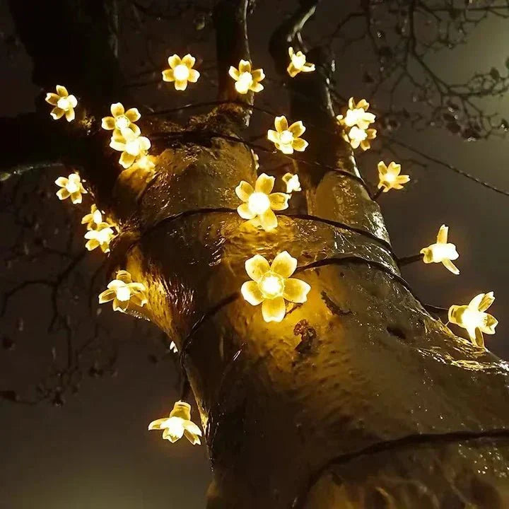 Frendorf | Lumiblossom: beleuchte mit Liebe deinen Garten in Blumen