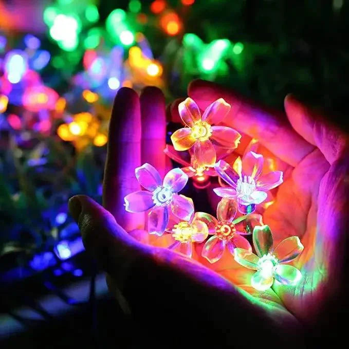 Frendorf | Lumiblossom: beleuchte mit Liebe deinen Garten in Blumen