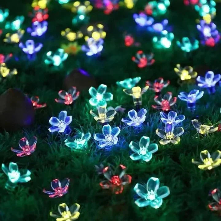 Frendorf | Lumiblossom: beleuchte mit Liebe deinen Garten in Blumen